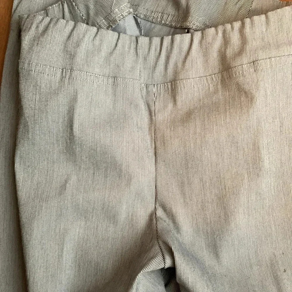 Dalia navy/white ankle pants 18W - Picture 2 of 9